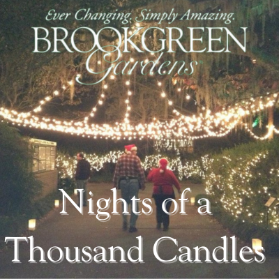 Brookgreen Gardens Nights of a Thousand Candles voice of Scott Richards 2024